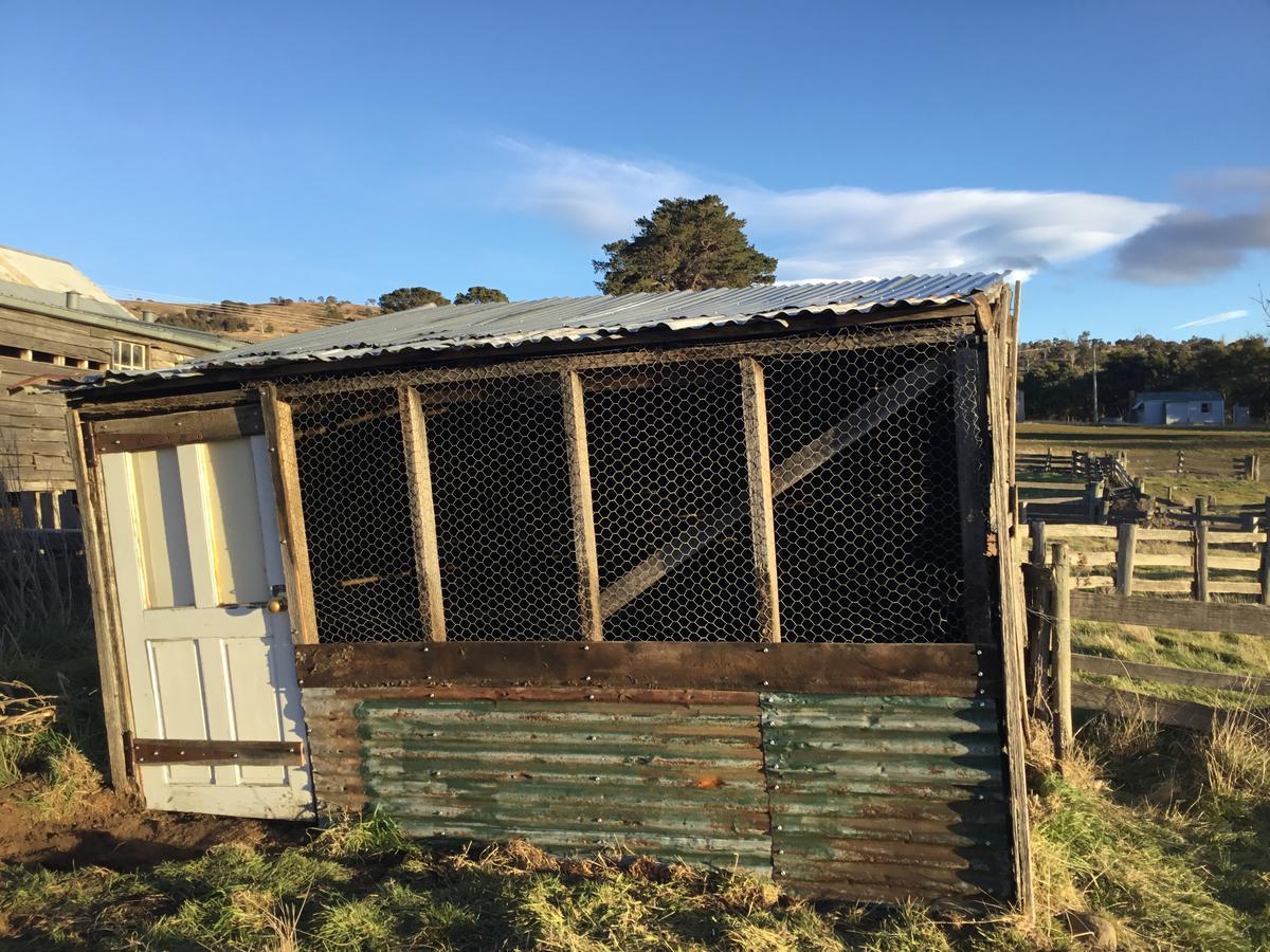 Farm stay Shearers' Quarters Rathmore