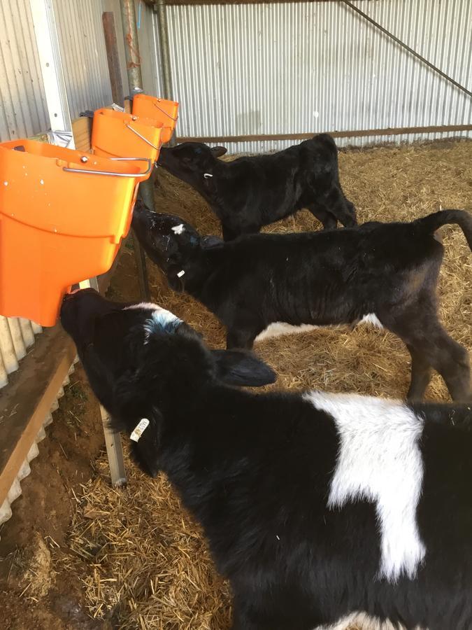 Shearers' Quarters Rathmore Farm stay